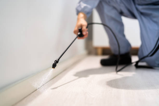 Licensed Termite Control service in McPherson County County, NE - Nex Pest Control