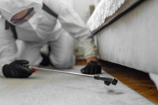 Professional Termite Control technician working in McPherson County County, NE